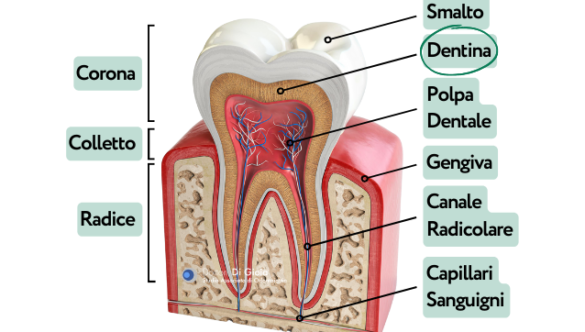 Sensibilità Dentale: quali sono le cause e cosa significa?