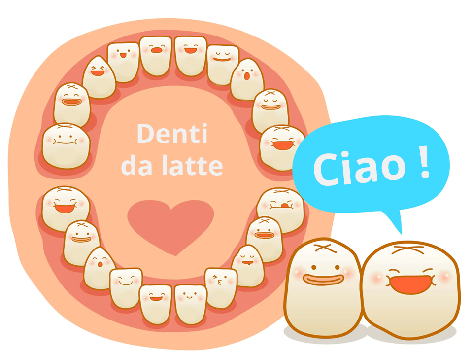 St. Di Gioia - Pedodonzia Denti Latte 3